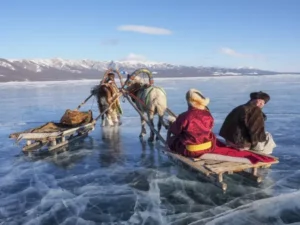 Horse-drawn Sledding