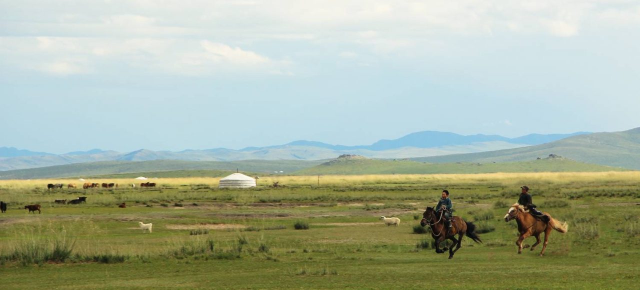 steppe of mongolia