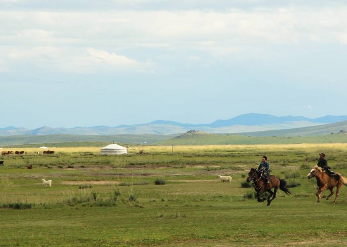 steppe of mongolia