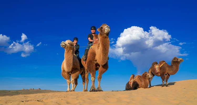 camel trekking tour