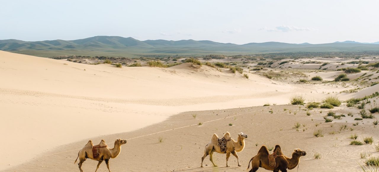 Kharakhorum, Elsen Tasarkhai Sand Dunes