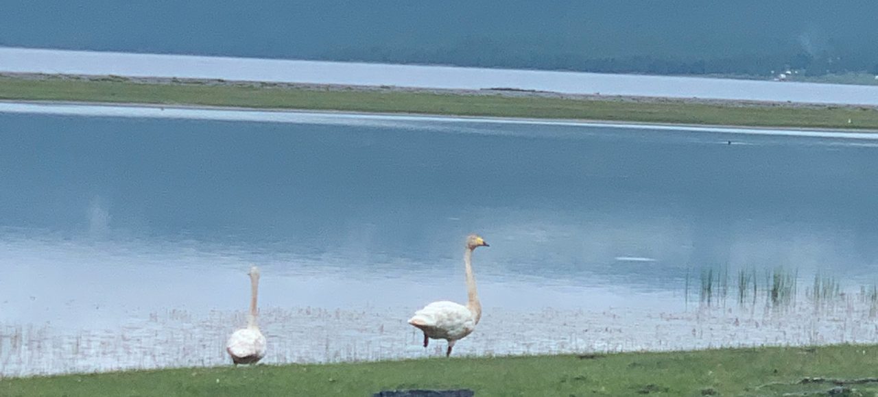 Khuvsgul Lake