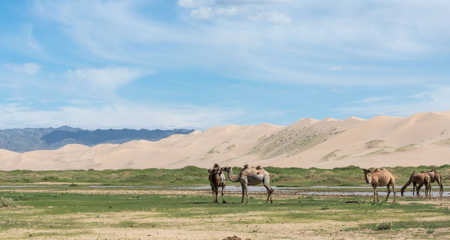 Mongolian Gobi