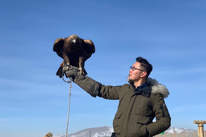 Mongolian Eagle