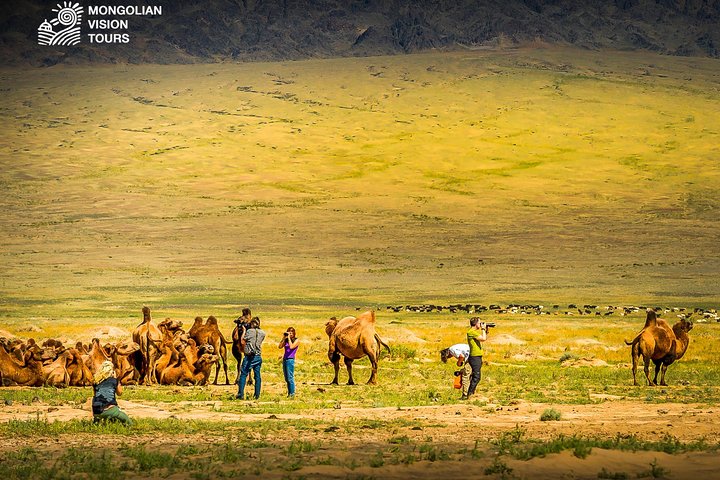 Semi Gobi Desert