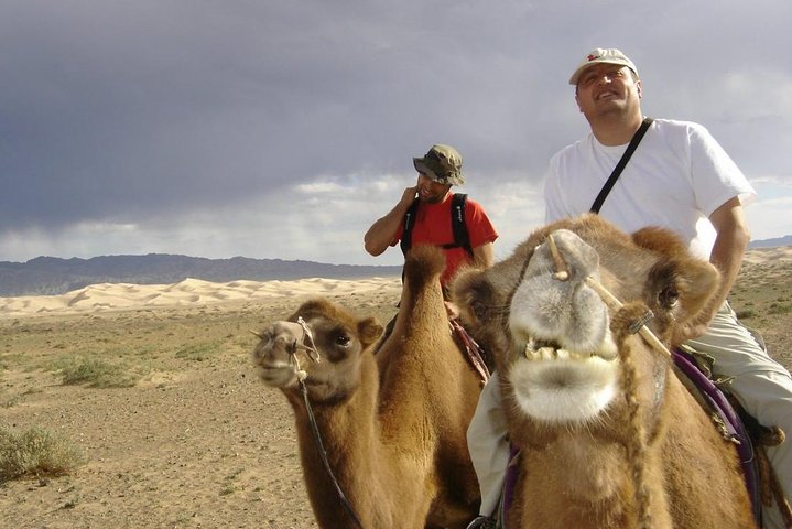 Gobi and Camel