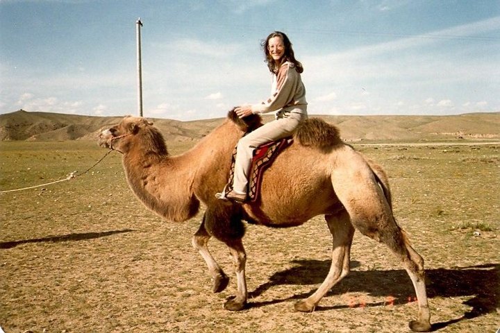 Gobi and camel