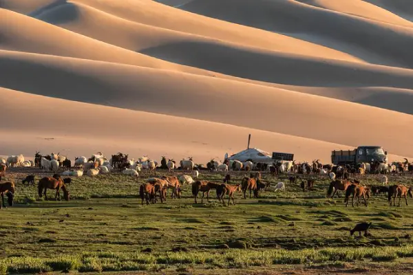 12 Days Gobi Desert and Express Mongolia